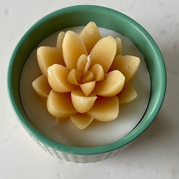 Peppermint Cactus Candle - Picture 5 of 6